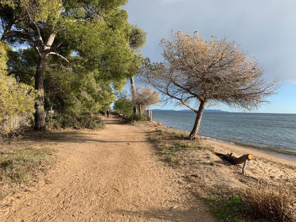 Joli T2 Proche Plage Dans Residence La Londe-les-Maures Exterior photo